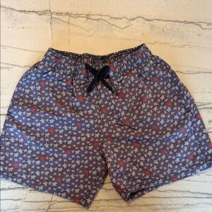 Boys Swim Shorts - Blue and Red